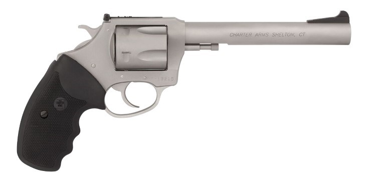 CHARTER ARMS TARGET MAGNUM .357 MAG. XL 6 SHOT 6IN ADJUSTABLE STANDARD STAINLESS STEEL 73566 - Taurus Savings